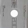 しまおまほ「奄美のマンマーの家で」新潮２月号