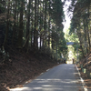 20150328_清笹峠〜家山〜蔵田〜ビクター坂〜宇津ノ谷峠（Bike:115km）