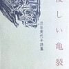 優しい亀裂　渋谷美代子詩集
