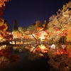 京都の紅葉ライトアップとディナーおすすめ特集♪最高の思い出つくりに♪