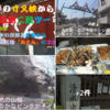 清水の次郎長と静岡名物「おでん」をあの店で　🍢^^!