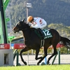 競馬初心者必見☆馬券予想🔥〜愛知杯〜セントメモリーズが得意の距離で花を咲かせる！