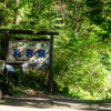 登山記：新城の明神山 登山レポート 2024年7月
