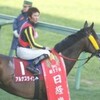 日曜競馬　展望