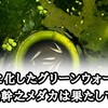 青汁？と化したグリーンウォーターで幹之メダカが大きくなりました。