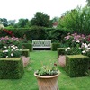 <span itemprop="headline">続Pashley Manor Gardens バラ園</span>