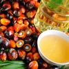 Global Palm Oil Market Overview 2018: Growth, Demand and Forecast Research Report to 2023