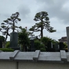 (巻四十四) 冬銀河この身の浮いて行くところ(西池冬扇)