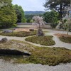 【京都】岩倉、『実相院』　桜　床もみじ
