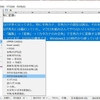 半角カナ混じりの文章を全角に変換