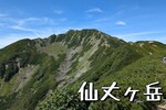 南アルプスの女王「仙丈ヶ岳」人気のコースで日帰り登山