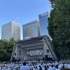 霞