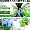 薬の成分、植物内で生産 