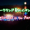 夏のクリスマスを楽しもう！オークランドで大きい花火が見られるChristmas in the park とは