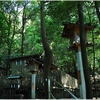 大神神社写真館（７/１４）