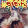 めちゃカワ❗️お待ちかねもぐもぐタイムの仲良しモルモットさんたちのお行儀の良さがハンパない❗️