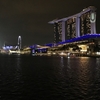 Singapore + JB　（H29.6.10 その8）