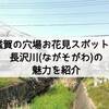 滋賀の穴場お花見スポット、長沢川(ながそがわ)の魅力を紹介！人混みが苦手な人に超おすすめ