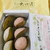 大口屋 季節限定 あんぷさくら