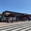 香川県丸亀市「りぶや丸亀本店」で骨付鳥とカツオのたたき