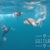 ギリ島幽霊ツアー（！？）