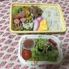 今日のお弁当