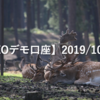 【SHONAN･LEOデモ口座】2019/10/16(水)の成績
