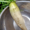 大器晩成