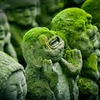 【浄財】FIRE教最終神託　神に全てを捧げるのです...【カルト宗教】