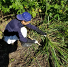 【休日の予定】家の隣が草だらけ5月3日は草刈りデー＆サイクリング