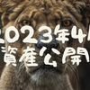 【資産公開】2023年4月の資産状況（前月比+63万）