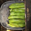今年の真夏の夕飯：蒸豆＋夏野菜漬物＋ホタルイカ塩辛