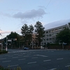 【番外編】2024年振り返り―28本の大会参加、ランニングにいったい何があるというんですか？―