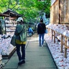 豪徳寺（世田谷区）で、招き猫をたくさん観る