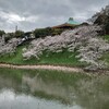 Ｙ５６．４度目の育児休職（５６日目）　　〜九段下の桜〜