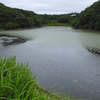 姥ヶ谷池（茨城県行方）