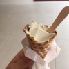 インドでアイスを食べるなら。～Natural ice cream～