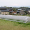 農業の仕事②    ビニールハウス