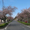 東海道（27）井田川～亀山宿～関宿～関　その１