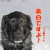ショック眉毛が真っ白になった！