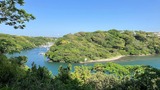 三浦道寸・義意 VS.北条早雲　油壺新井城の戦い〜討つものも討たるる者もかはらけよ
