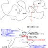 ボスポラス海峡の海底トンネル