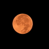 Orange Moon