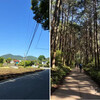 丹沢 大倉発着 塔ノ岳～鍋割山 周回 2026/05/16