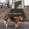 とっと