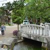 醒ヶ井地蔵川の清流と梅花藻