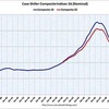 2010/11 米・住宅価格指数　前月比　0.5%減　（２０都市、季節調整後）