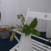 ウィメンズケア