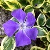 ３月も終わり・・