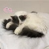 あけましておめでとうございます。